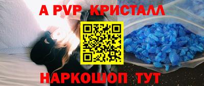 jwh Кингисепп