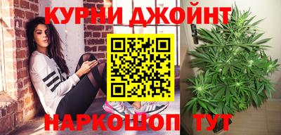 jwh Кингисепп