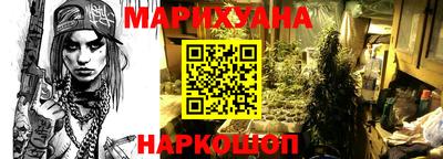 jwh Кингисепп