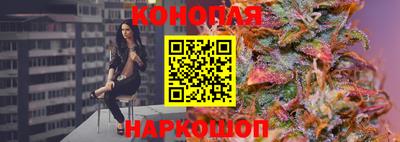 jwh Кингисепп