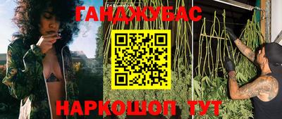 jwh Кингисепп