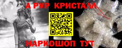 jwh Кингисепп