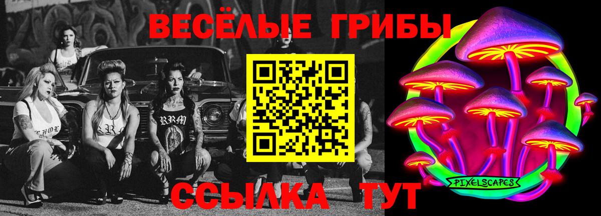 Галлюциногенные грибы GOLDEN TEACHER Шуя